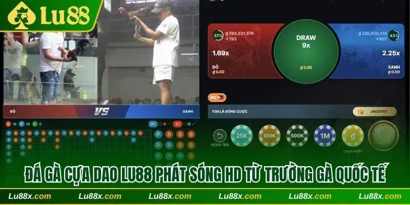 Đá gà cựa dao Lu88 phát sóng HD từ trường gà quốc tế
