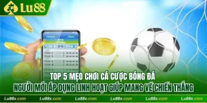 Mẹo chơi cá cược bóng đá Lu88